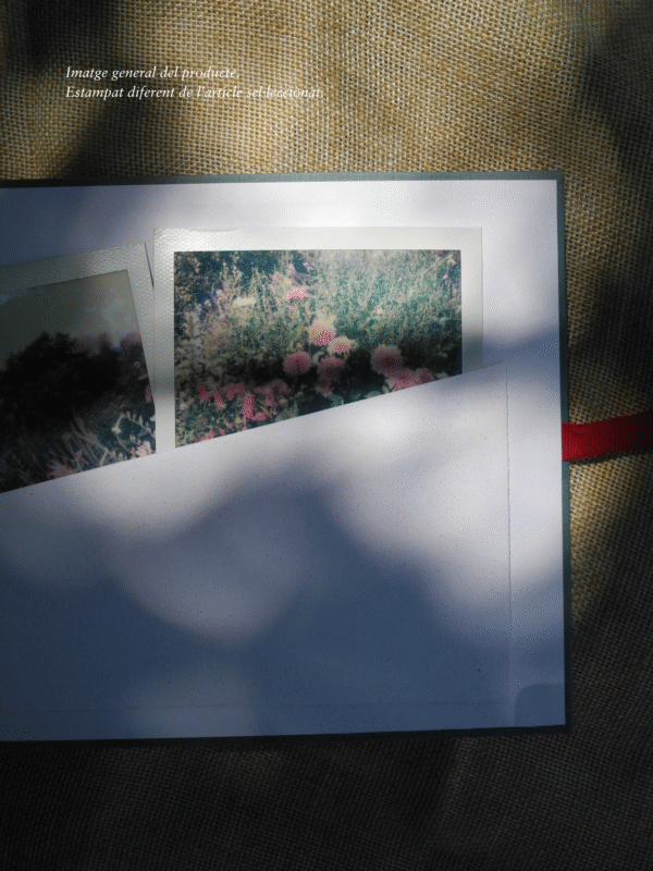 Àlbum de fotos petit - cosit vist - Imagen 10
