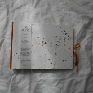 Àlbum de fotos petit - cosit vist